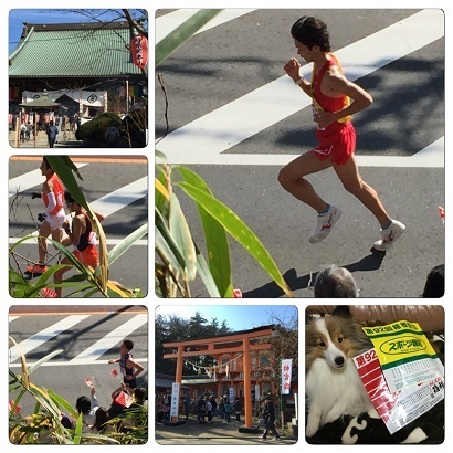 ekiden8c.jpg